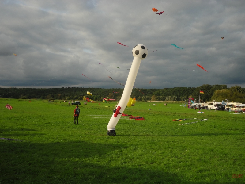 Drachenfest_2013_004