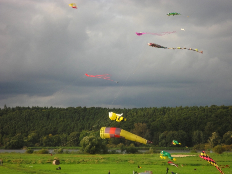 Drachenfest_2013_006