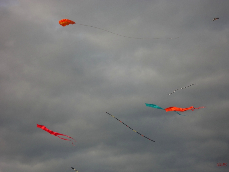 Drachenfest_2013_007