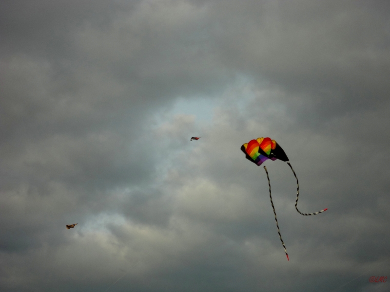 Drachenfest_2013_008