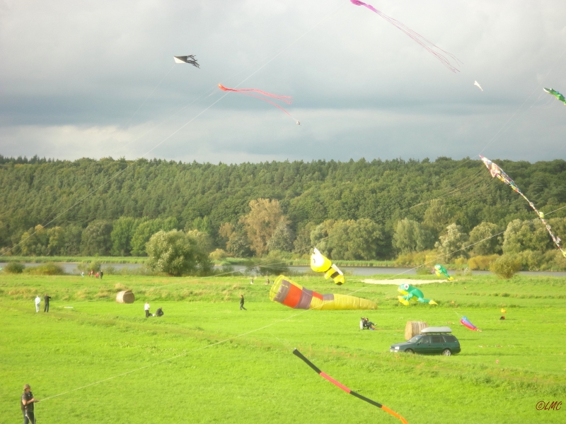 Drachenfest_2013_011