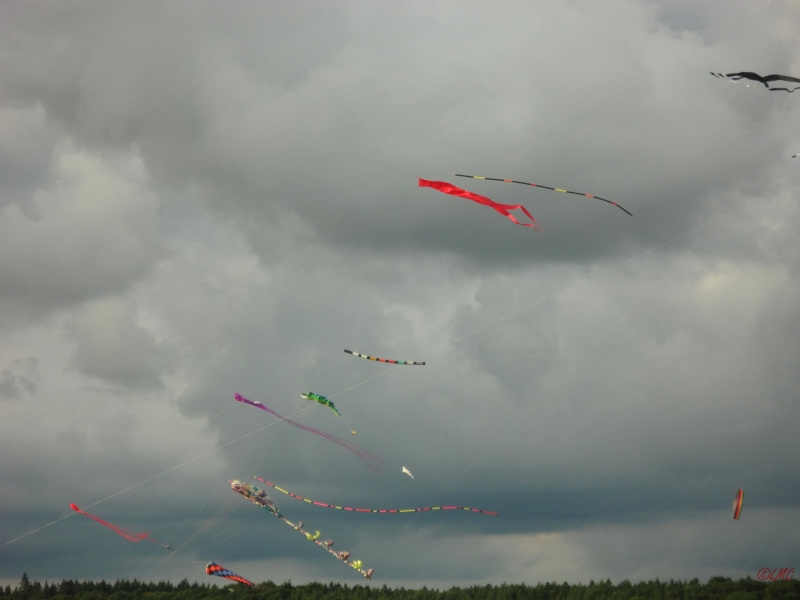 Drachenfest_2013_016