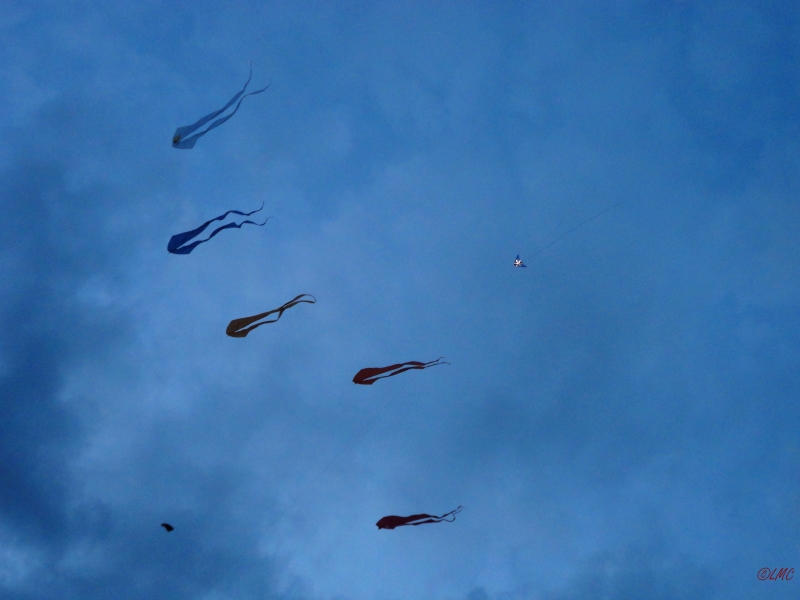 Drachenfest_2013_018