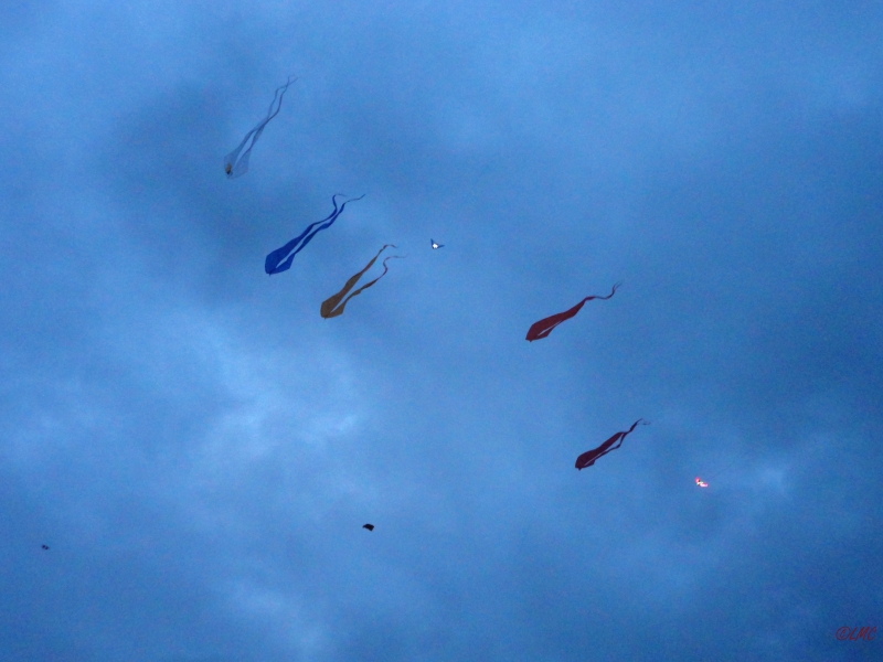 Drachenfest_2013_021