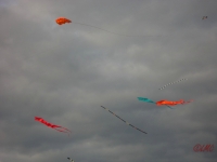 Drachenfest_2013_007