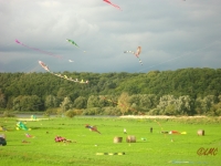 Drachenfest_2013_010
