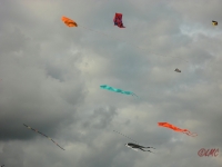 Drachenfest_2013_015