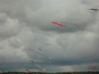 Drachenfest_2013_016
