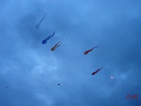 Drachenfest_2013_021