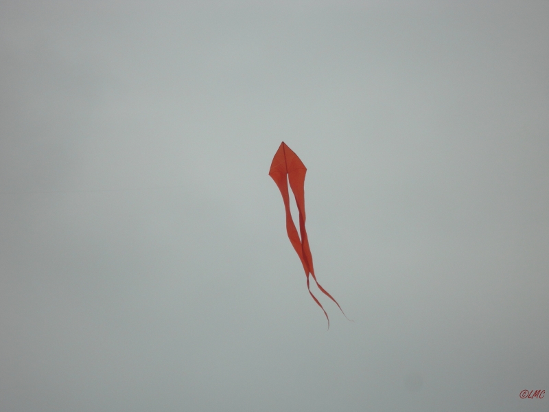 Pfingsten_2013_0015