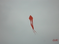 Pfingsten_2013_0015