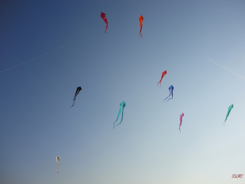 Schleierdeltas_025