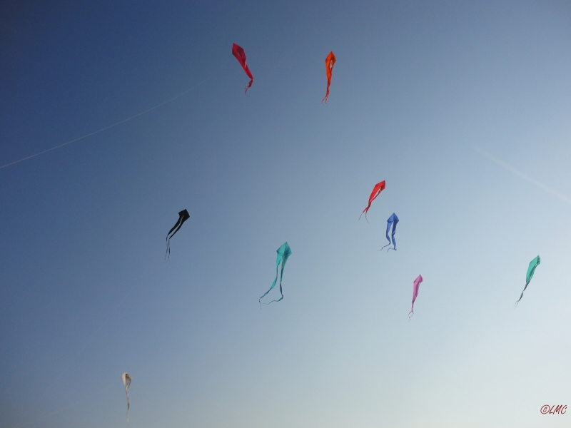 Schleierdeltas_026