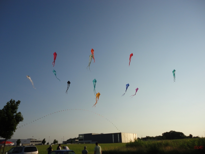 Schleierdeltas_037
