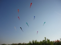 Schleierdeltas_009