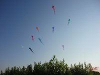 Schleierdeltas_011