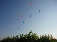 Schleierdeltas_012