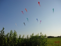 Schleierdeltas_016