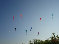 Schleierdeltas_022