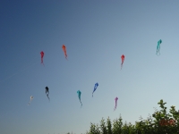 Schleierdeltas_023