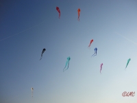 Schleierdeltas_025