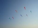 Schleierdeltas_004