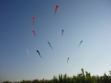 Schleierdeltas_009