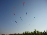 Schleierdeltas_010