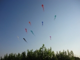 Schleierdeltas_011