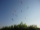 Schleierdeltas_012