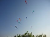 Schleierdeltas_014