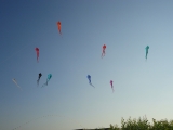 Schleierdeltas_021