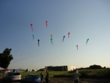 Schleierdeltas_029