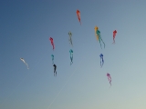 Schleierdeltas_044