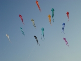 Schleierdeltas_046