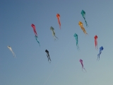 Schleierdeltas_049
