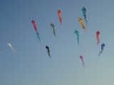 Schleierdeltas_050