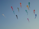 Schleierdeltas_051