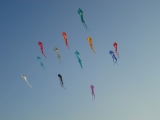 Schleierdeltas_052