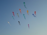 Schleierdeltas_053