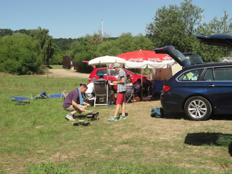 Wiesenreinigung_2013_003