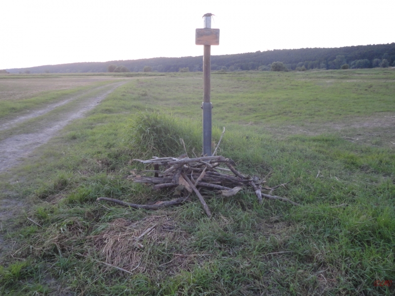 Wiesenreinigung_2013_007