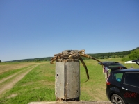 Wiesenreinigung_2013_001