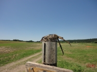 Wiesenreinigung_2013_002
