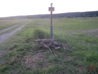 Wiesenreinigung_2013_007