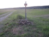 Wiesenreinigung_2013_007