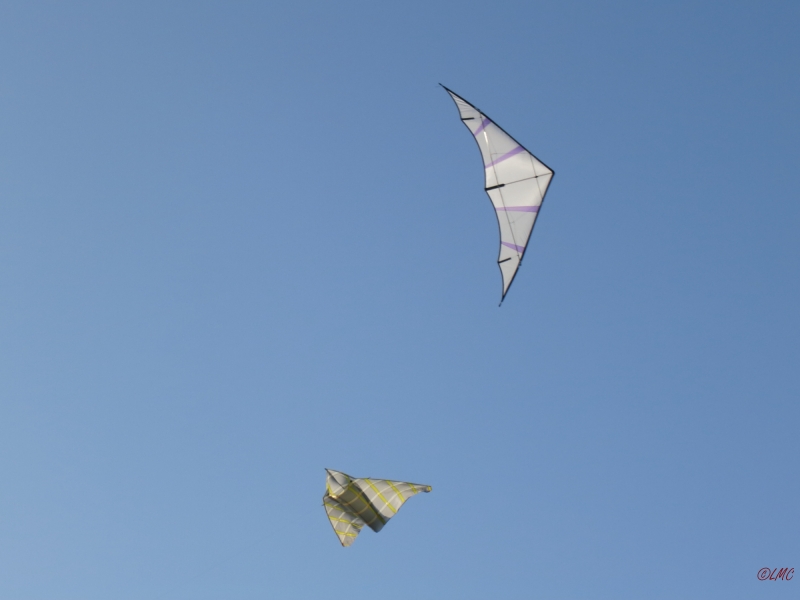 2014_03_09_023