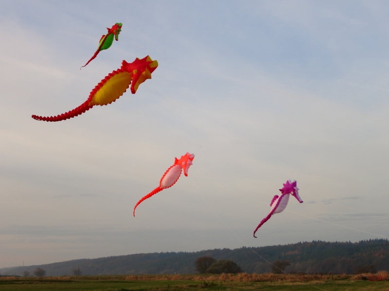 Artlenburg_2014_11_23_004
