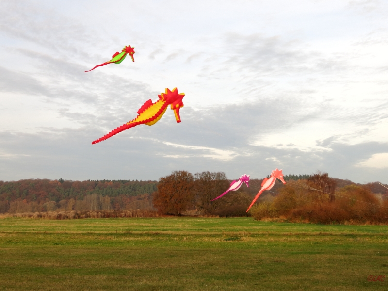Artlenburg_2014_11_23_007