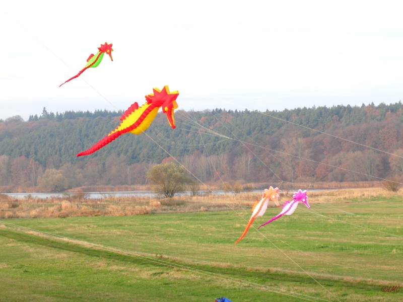 Artlenburg_2014_11_23_010